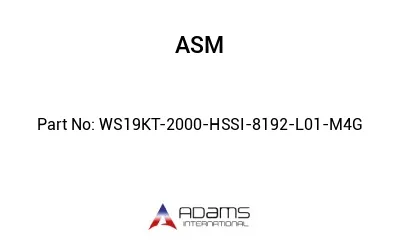 WS19KT-2000-HSSI-8192-L01-M4G