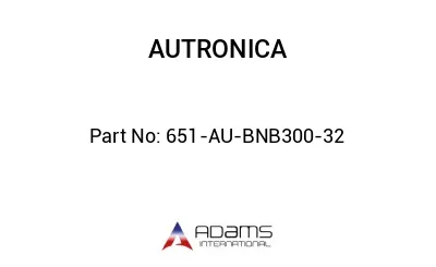 651-AU-BNB300-32