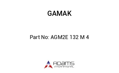 AGM2E 132 M 4