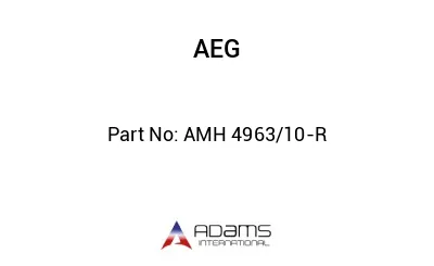 AMH 4963/10-R