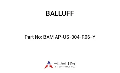BAM AP-US-004-R06-Y									