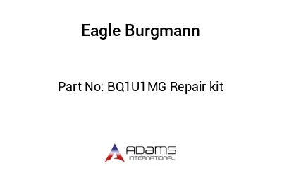 BQ1U1MG Repair kit