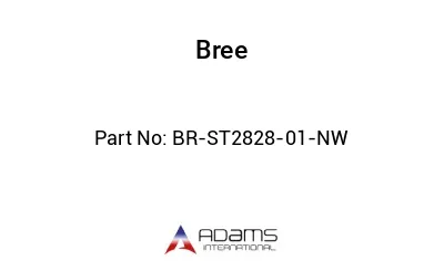 BR-ST2828-01-NW