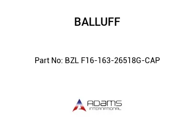 BZL F16-163-26518G-CAP									