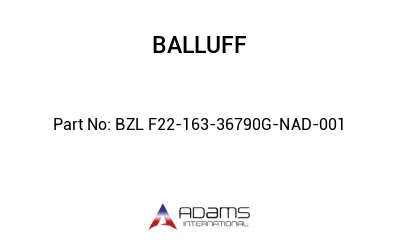 BZL F22-163-36790G-NAD-001									