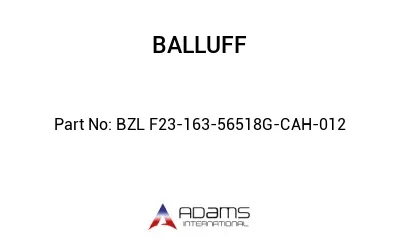 BZL F23-163-56518G-CAH-012									