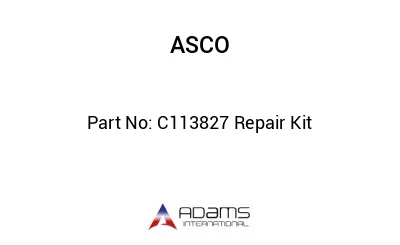 C113827 Repair Kit