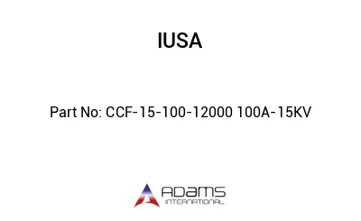 CCF-15-100-12000 100A-15KV