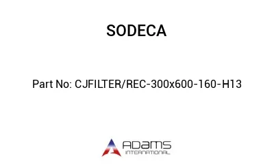 CJFILTER/REC-300x600-160-H13