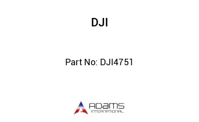 DJI4751