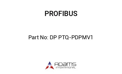 DP PTQ-PDPMV1