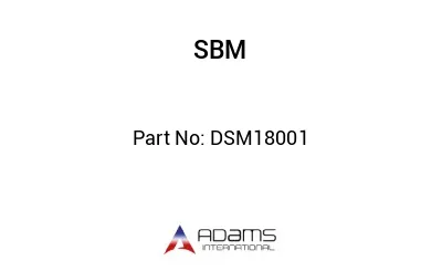 DSM18001