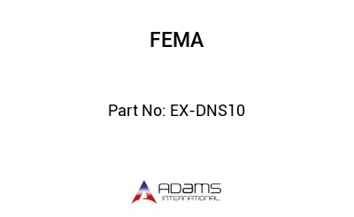 EX-DNS10