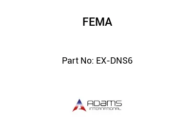 EX-DNS6