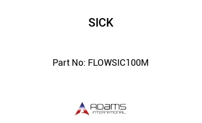 FLOWSIC100M