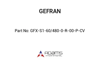 GFX-S1-60/480-0-R-00-P-CV