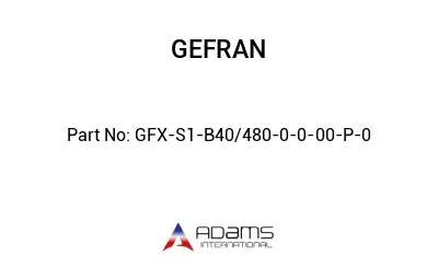 GFX-S1-B40/480-0-0-00-P-0