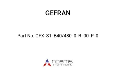 GFX-S1-B40/480-0-R-00-P-0