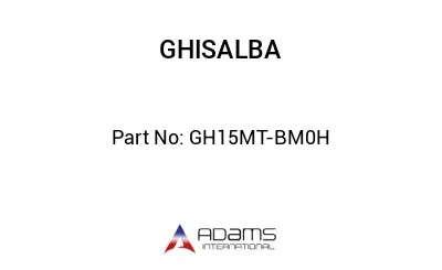 GH15MT-BM0H