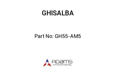 GH55-AM5