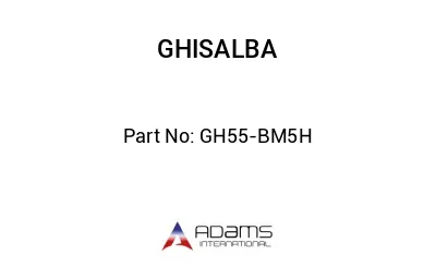 GH55-BM5H