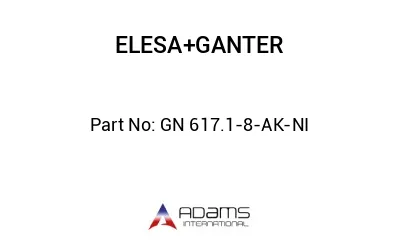 GN 617.1-8-AK-NI