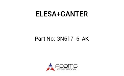 GN617-6-AK