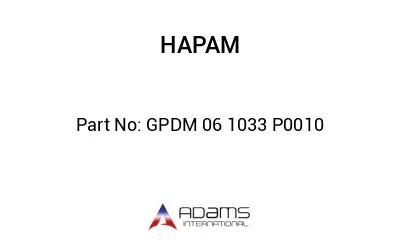 GPDM 06 1033 P0010