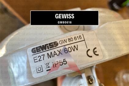 GW80616