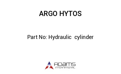 Hydraulic  cylinder