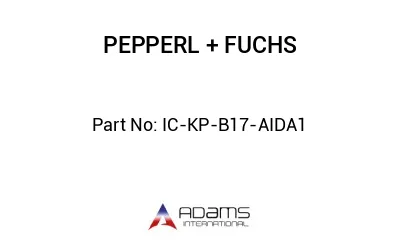 IC-KP-B17-AIDA1