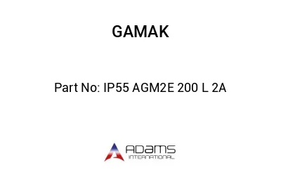 IP55 AGM2E 200 L 2A