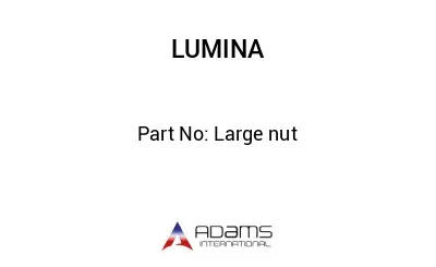 Large nut