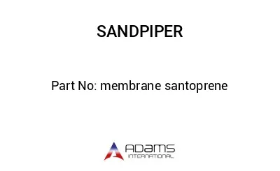 membrane santoprene