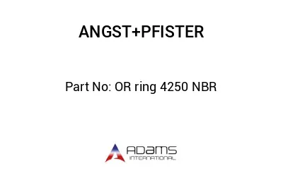 OR ring 4250 NBR