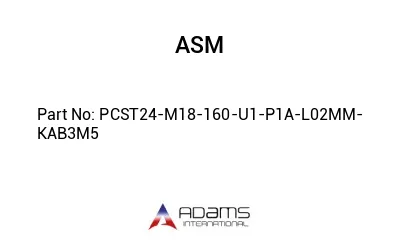 PCST24-M18-160-U1-P1A-L02MM-KAB3M5