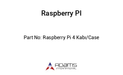 Raspberry Pi 4 Kabı/Case