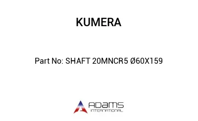 SHAFT 20MNCR5 Ø60X159