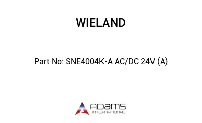 SNE4004K-A AC/DC 24V (A)