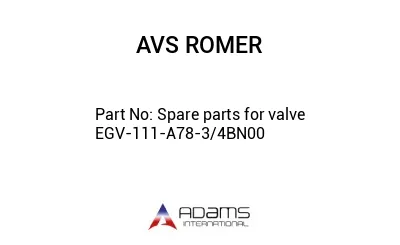 Spare parts for valve EGV-111-A78-3/4BN00