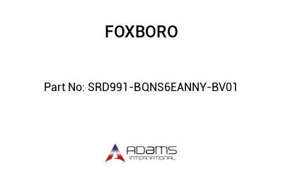 SRD991-BQNS6EANNY-BV01