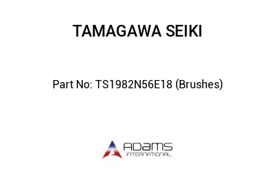 TS1982N56E18 (Brushes)
