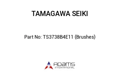 TS3738B4E11 (Brushes)