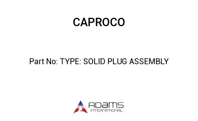 TYPE: SOLID PLUG ASSEMBLY