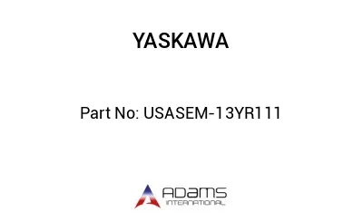 USASEM-13YR111
