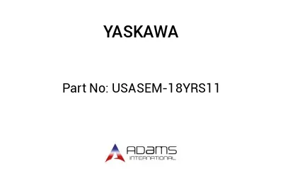 USASEM-18YRS11