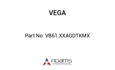 VB61.XXAGDTKMX