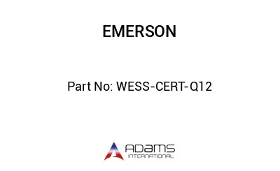 WESS-CERT-Q12