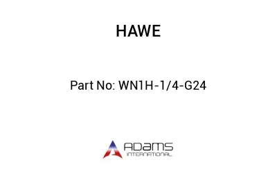 WN1H-1/4-G24