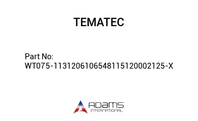 WT075-1131206106548115120002125-X